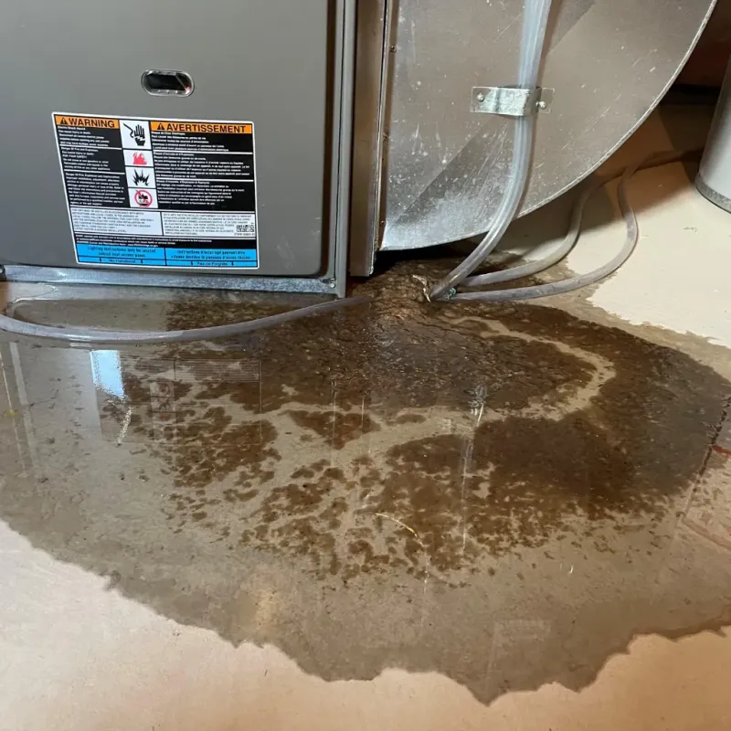 Appliance Leak Cleanup in Gove, KS